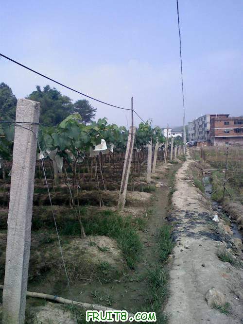 20110604093122.jpg