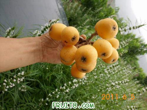 СDSCI0513.JPG