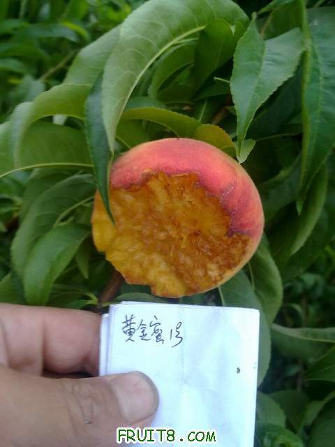 20110609447.jpg
