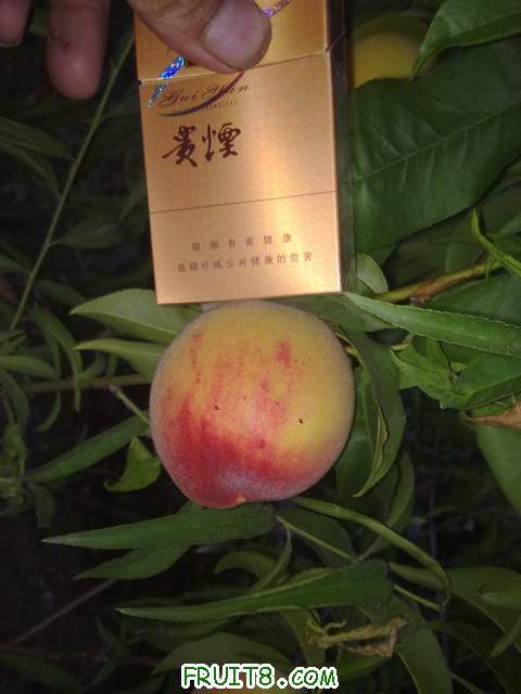 20110609455.jpg