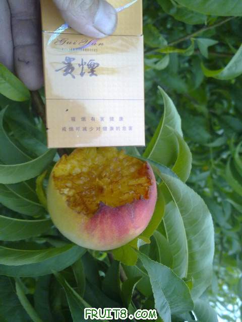 20110609450.jpg