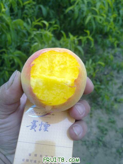 20110609459.jpg