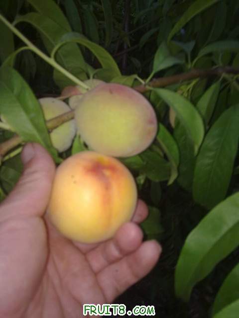 20110609468.jpg