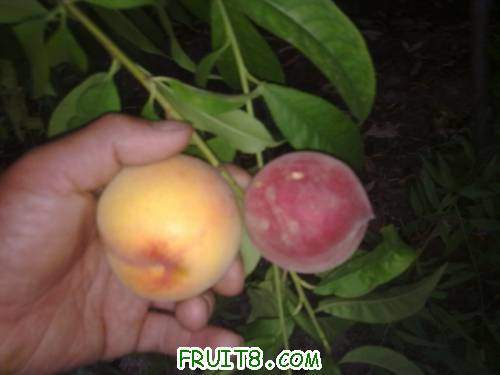 20110609470.jpg