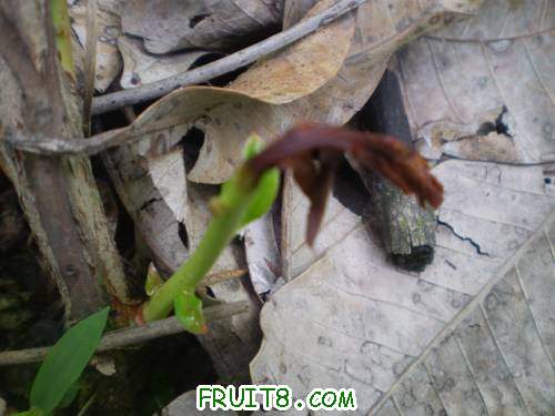 M7����Խ�ٳ���Σ��