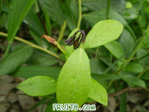 M7����Խ�ٳ���Σ��