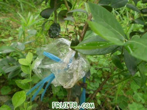 ����ļ��������״��˻��Ǳ���ɵ�