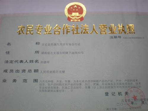 P6111154.JPG