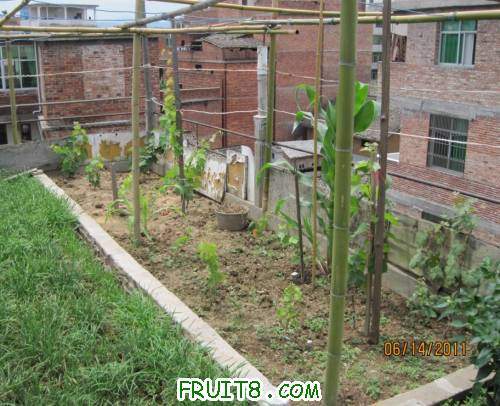 20110614-δ����������001.jpg
