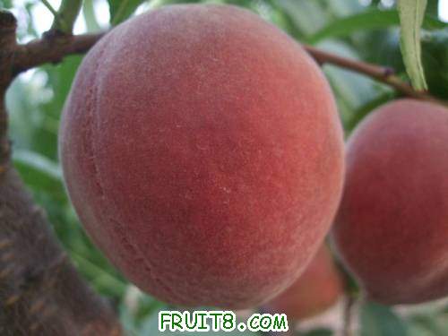 2011��6��15�ռ������� 017.jpg