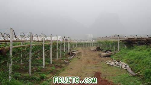 ��Ƭ 055.jpg