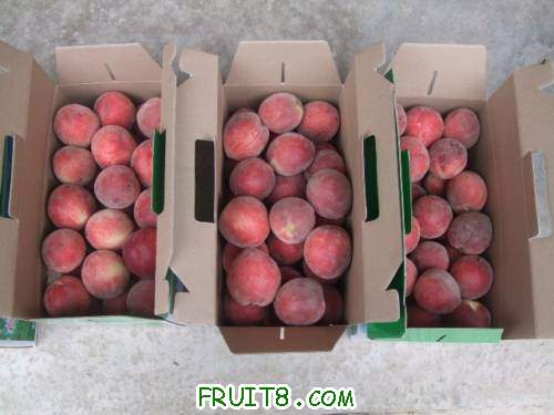 ��װ�����Ե���� 001.jpg