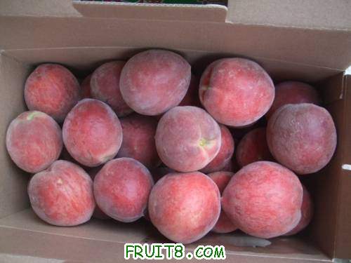 ��װ�����Ե���� 002.jpg