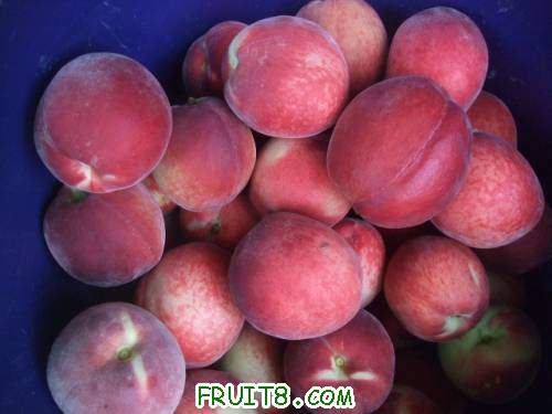 ��װ�����Ե���� 004.jpg