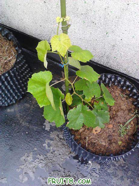 2011-06-19 15.10.26.jpg