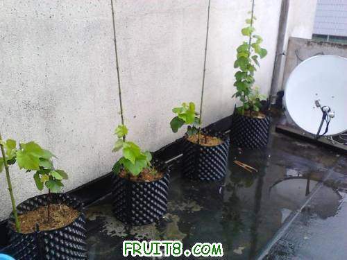 2011-06-19 15.09.56.jpg