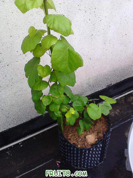 2011-06-19 15.10.11.jpg