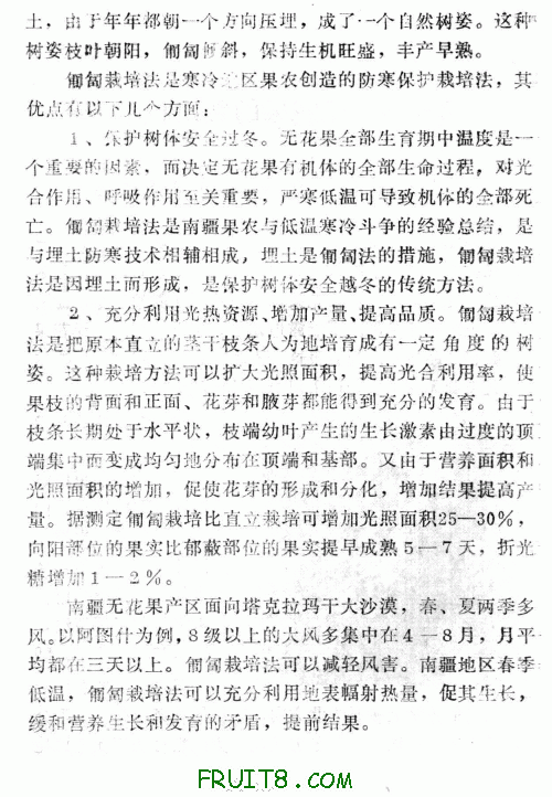 p2.GIF