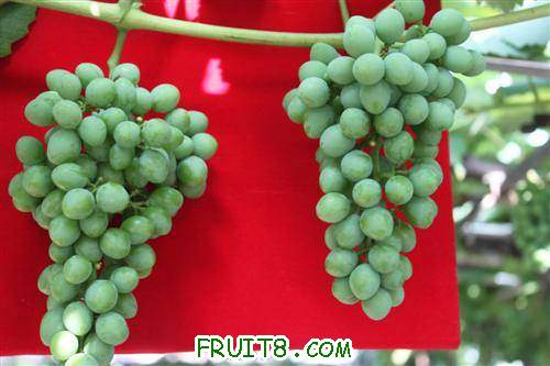 IMG_5148 (�Զ���).jpg