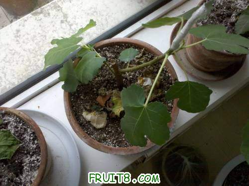 2011-06-12_09-26-07_997_СС.jpg