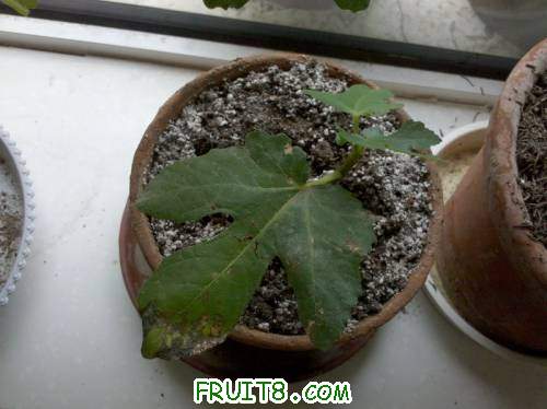 2011-06-12_09-26-18_861_СС.jpg