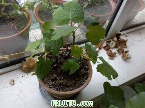 2011-06-12_09-26-38_960_СС.jpg