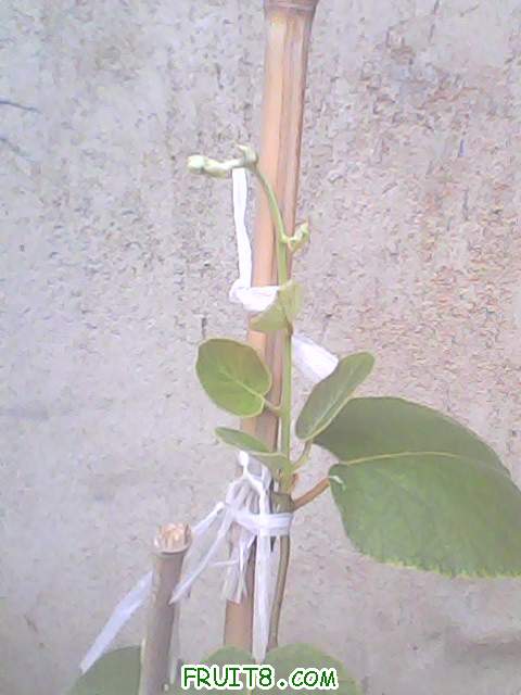 IMG0113A.jpg