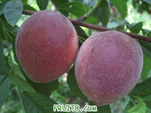 2011��7��2����֮�Ρ��������� 016.jpg