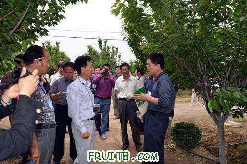 11��ӣ����� 078.jpg