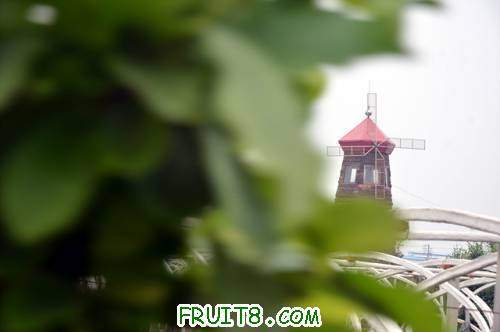 11��ӣ����� 101.jpg
