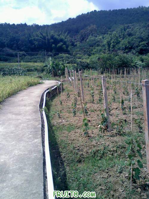 20110702140738.jpg