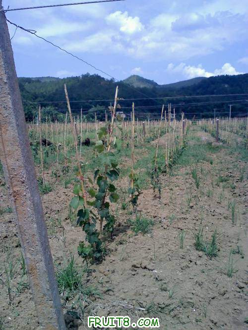 20110702140716.jpg