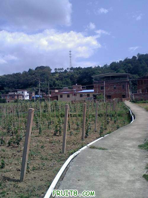 20110702140834.jpg