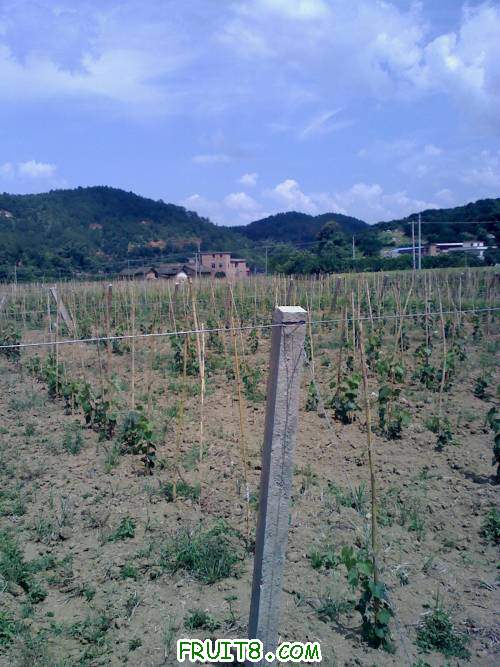 20110702140848.jpg