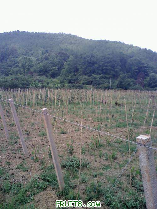 20110702140614.jpg