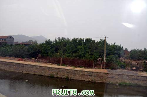 11��ӣ����� 173.jpg