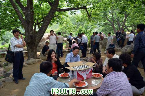 11��ӣ����� 179.jpg