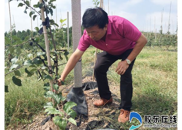 ˮԴϼɽ̬԰ лƻüǮ