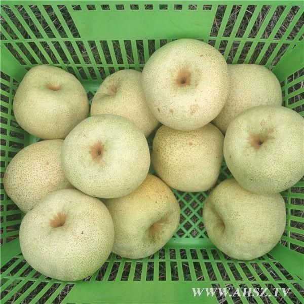 ɽ޹лˮԶ̩ лۼ۴88Ԫ/