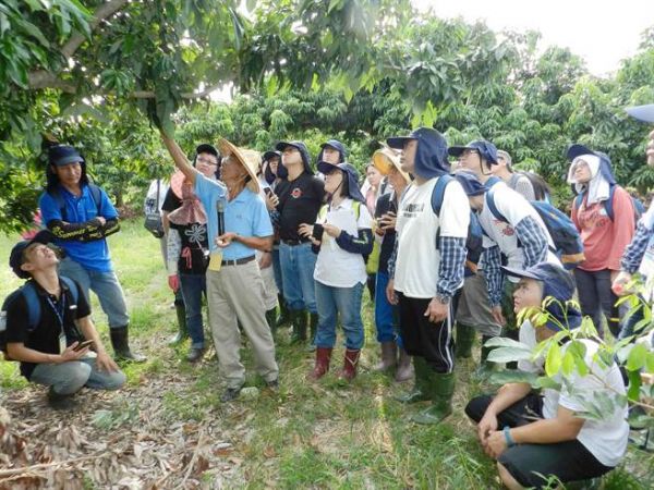 ������ũҡ����̨�����ũ�ĳ�������ѧϰ