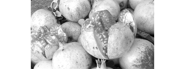 ����ʯ���ִ����ѹ� ��ũ������Ӱ��