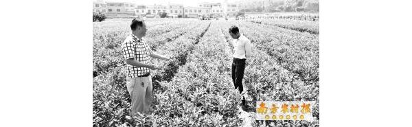 �������ּ۸ߴ��������г�