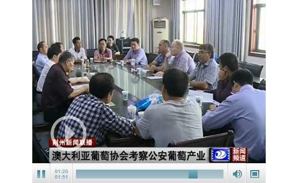 �Ĵ���������Э���������ؿ��� �������߳�����