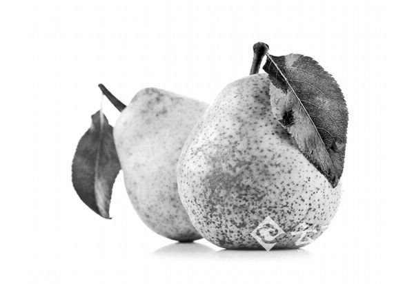 900�ꡰ����������Ϊ��������10���ҳ�