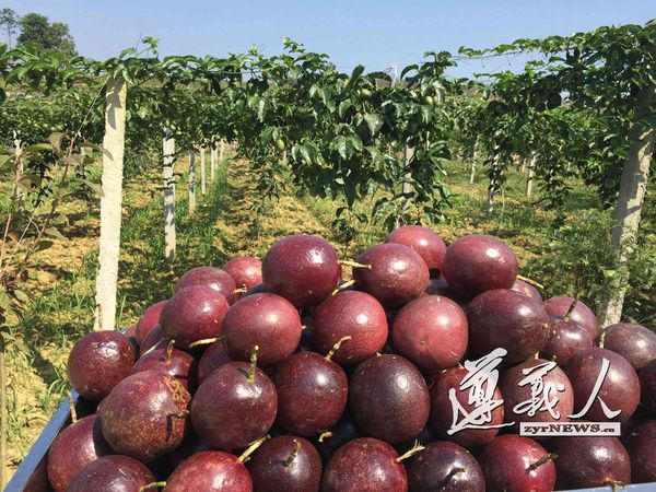 ������������������չ��̬ũҵΪũ������