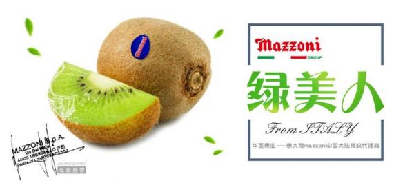 ⨺Ҳֹг ʥҵMAZZONI˾ǿǿ