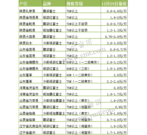 20151229ƻ鱨۷