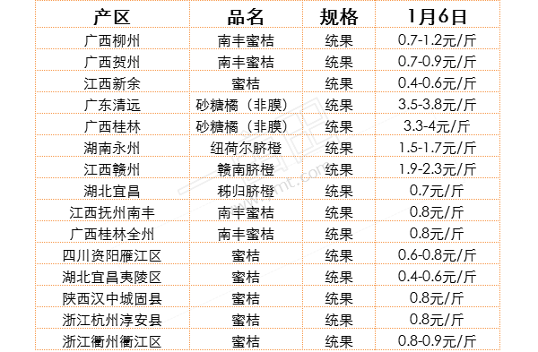 2016��1��6���۽��������������鱨�۷���