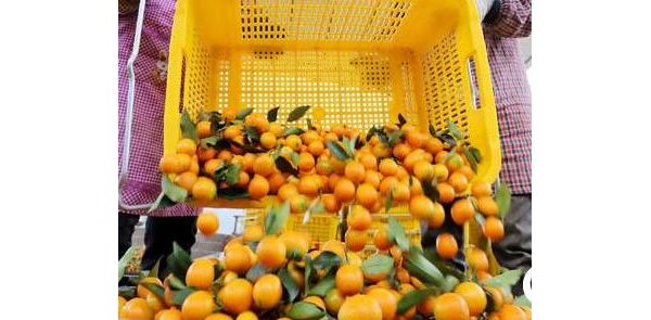 ���������ս�����ۻ�