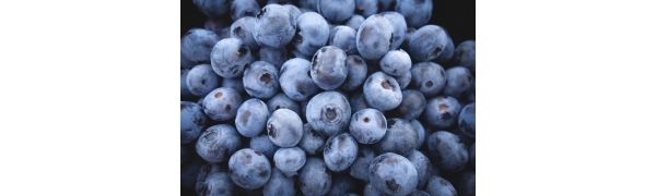 ������ݮ���������1���ٵ�